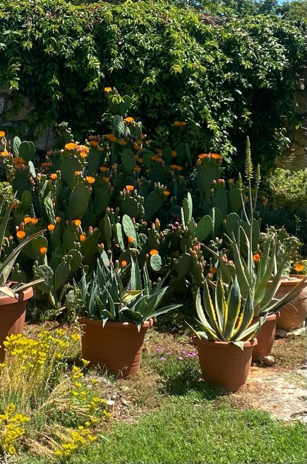 Domos Selene Casa Delle Farfalle Tinjan Exteriér fotografie