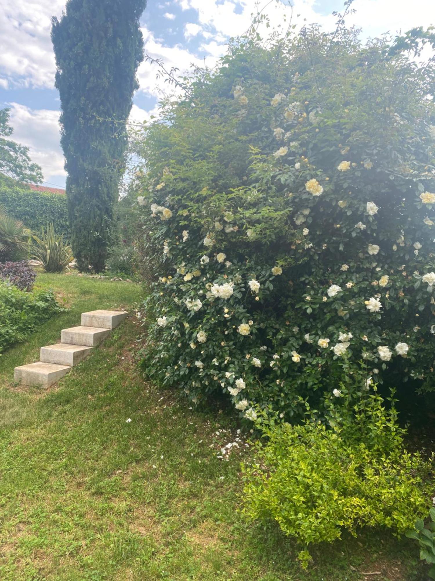 Domos Selene Casa Delle Farfalle Tinjan Exteriér fotografie